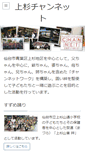 Mobile Screenshot of chan-net.com